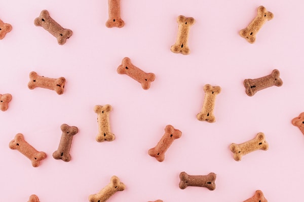 Alimentos y nutrición para mascotas